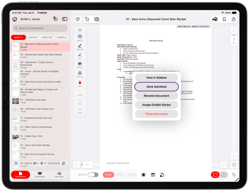 Marking Evidence as Admitted-PreviewPanel